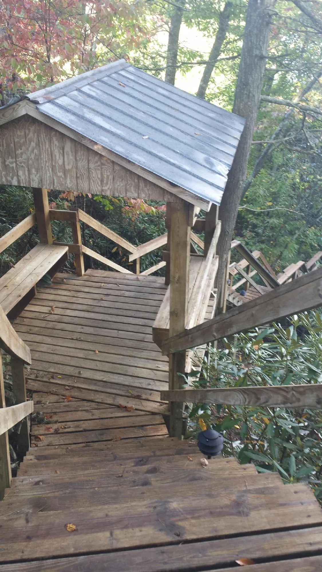 Metal roofed shelter over wooden steps on a wooded walkway — Skylight Repair & Installation work by our crew in Brightwaters