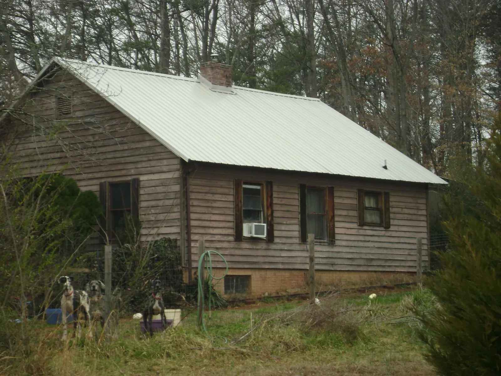 White metal roof on an old wood sided farmhouse, from a Asphalt Shingle Roof Repair job in Brightwaters